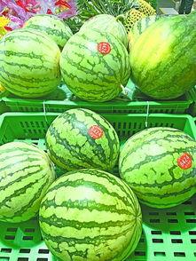 武汉吃瓜大全视频,吃瓜大全视频带你领略地道风味