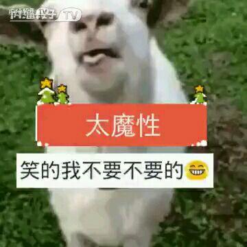 傻呆瓜可以吃吗有毒吗视频,有毒与否，真相揭晓