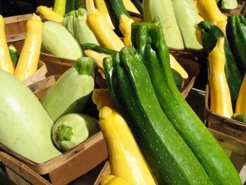 巨野吃瓜视频推荐,揭秘热门话题背后的真相与笑料