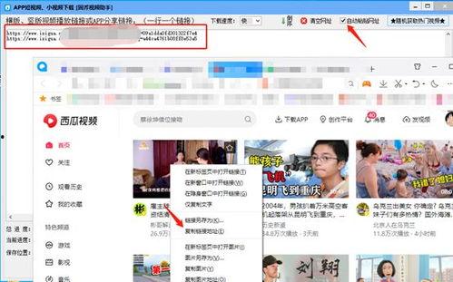 吃瓜恶心视频内容大全下载,吃瓜恶心视频内容大全盘点